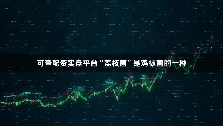 可查配资实盘平台“荔枝菌”是鸡枞菌的一种