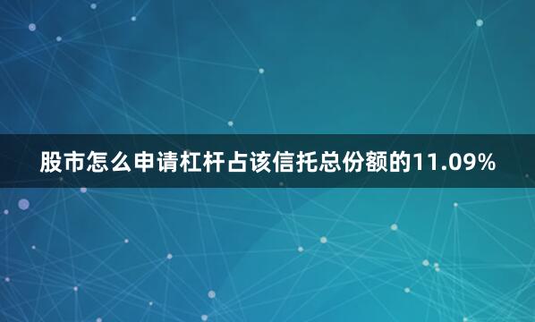股市怎么申请杠杆占该信托总份额的11.09%