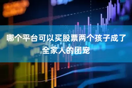 哪个平台可以买股票两个孩子成了全家人的团宠